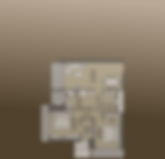image not found